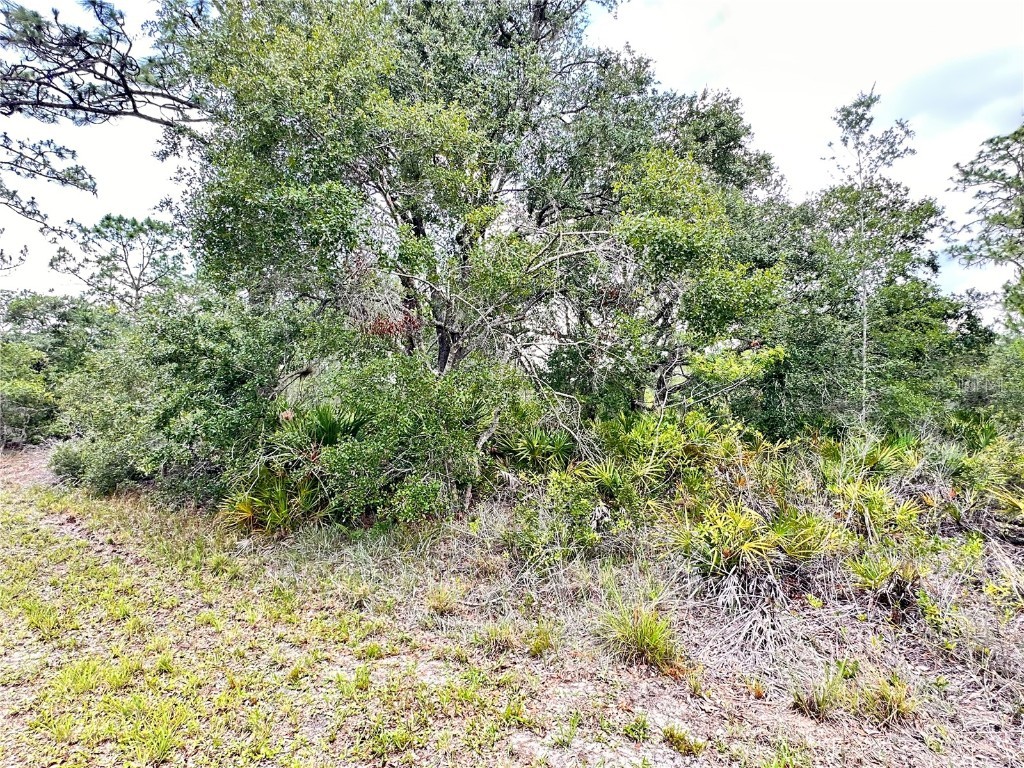 514 Indian Lake Drive Indian Lake Estates FL 33855 O6310590 image3