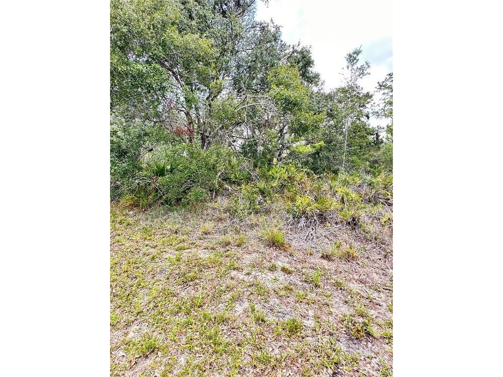 514 Indian Lake Drive Indian Lake Estates FL 33855 O6310590 image4