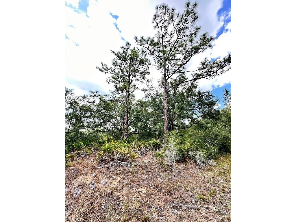 514 Indian Lake Drive Indian Lake Estates FL 33855 O6310590 image5