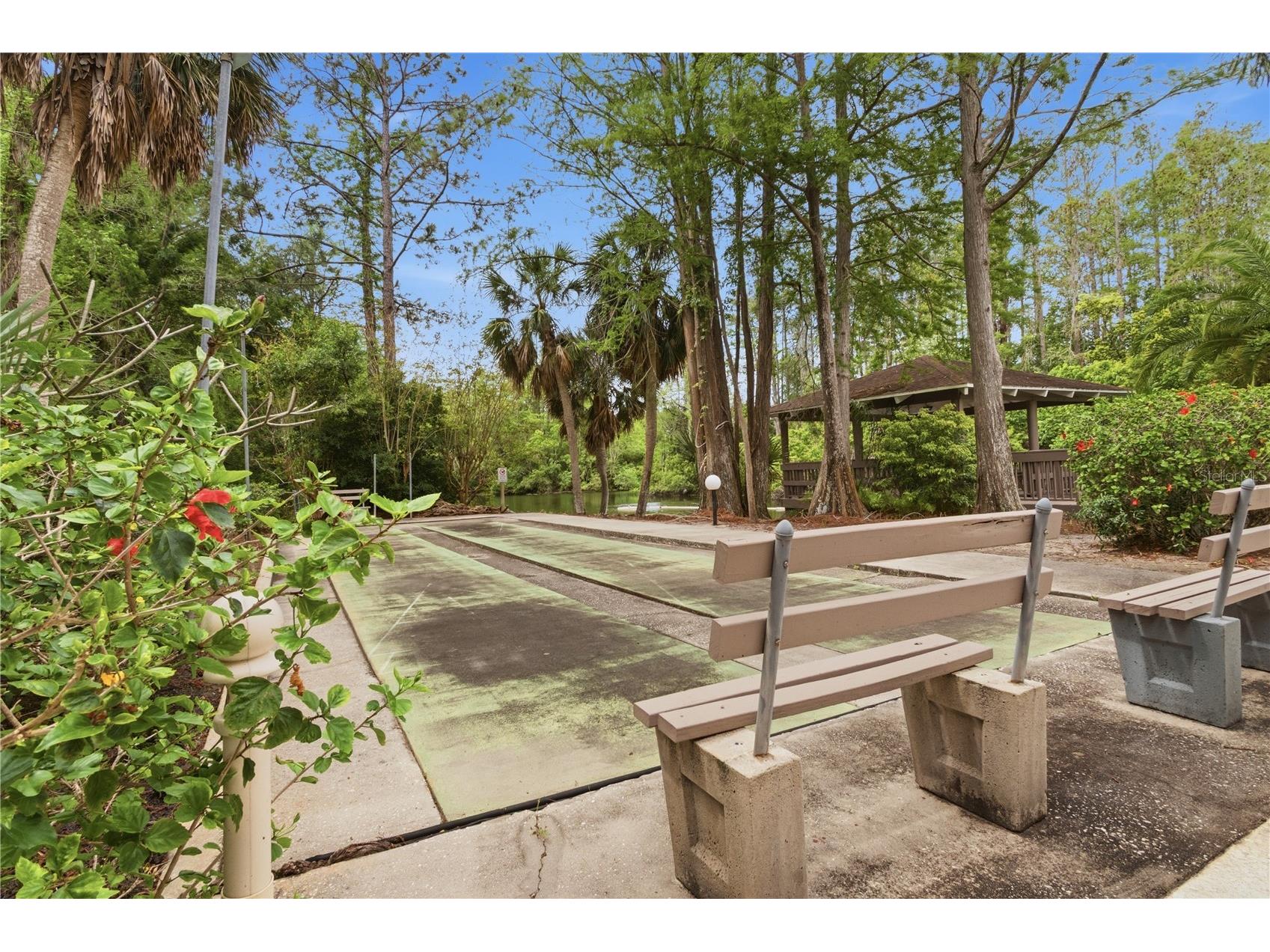 514 Longfellow Court #B Safety Harbor FL 34695 TB8495665 image42