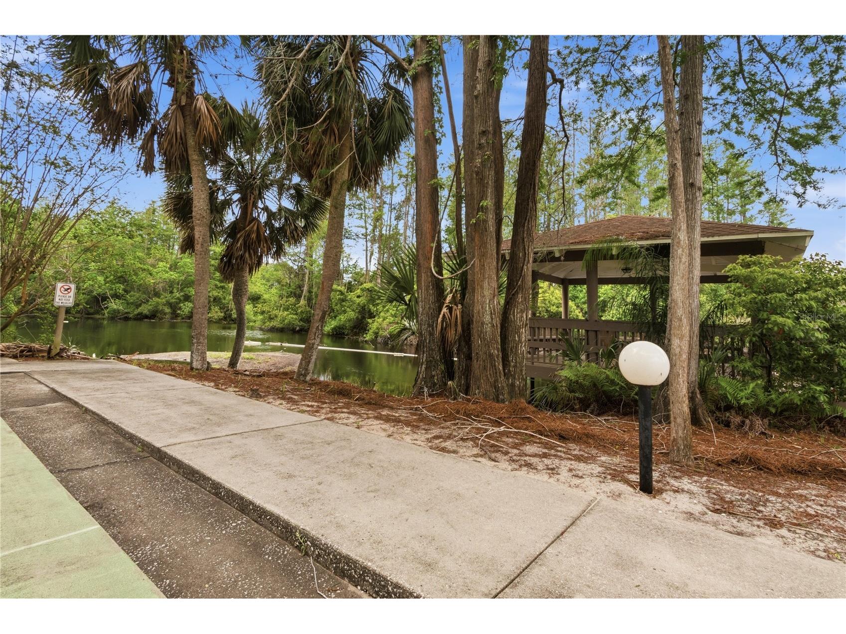 514 Longfellow Court #B Safety Harbor FL 34695 TB8495665 image43