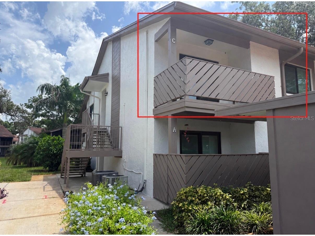 514 Longfellow Court #C Safety Harbor FL 34695 TB8532386 image1