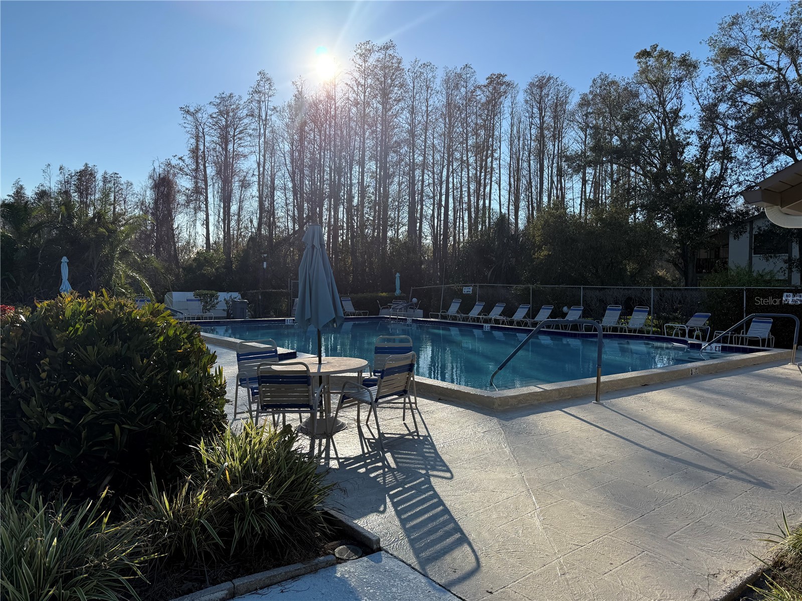 514 Longfellow Court #C Safety Harbor FL 34695 TB8532386 image33