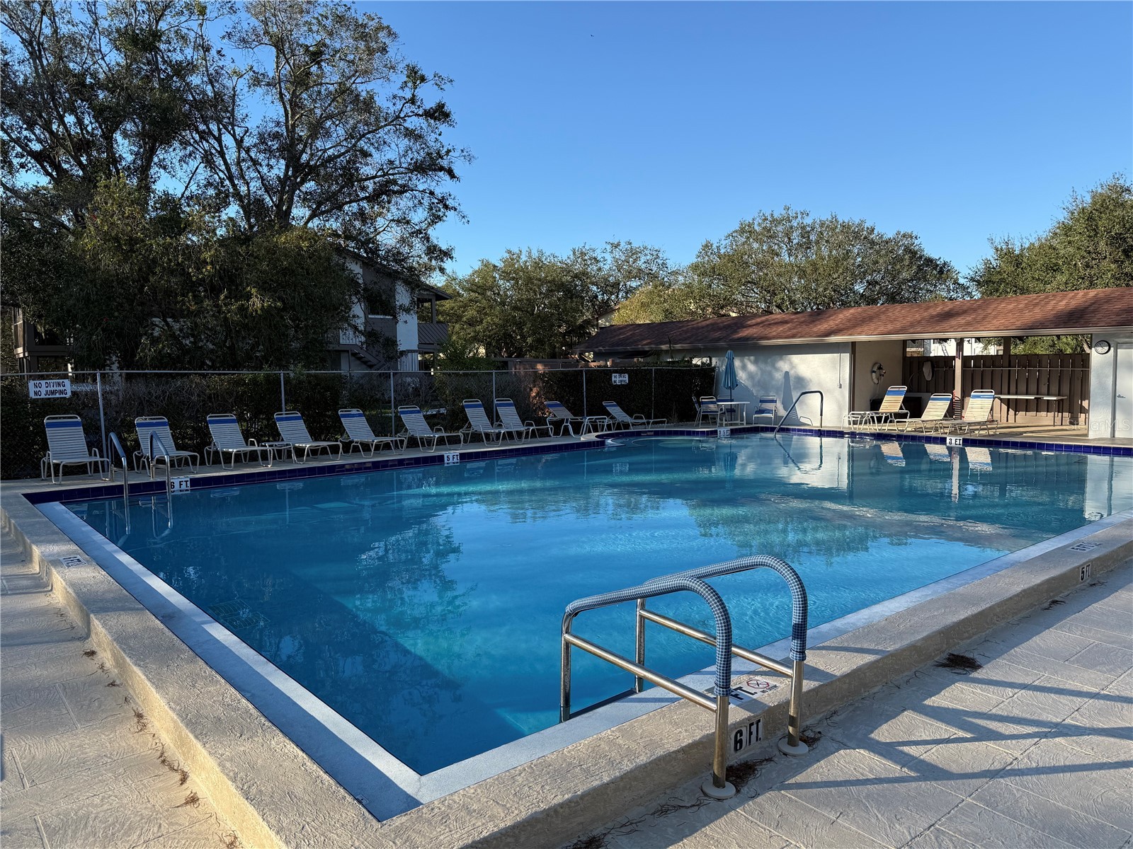 514 Longfellow Court #C Safety Harbor FL 34695 TB8532386 image34