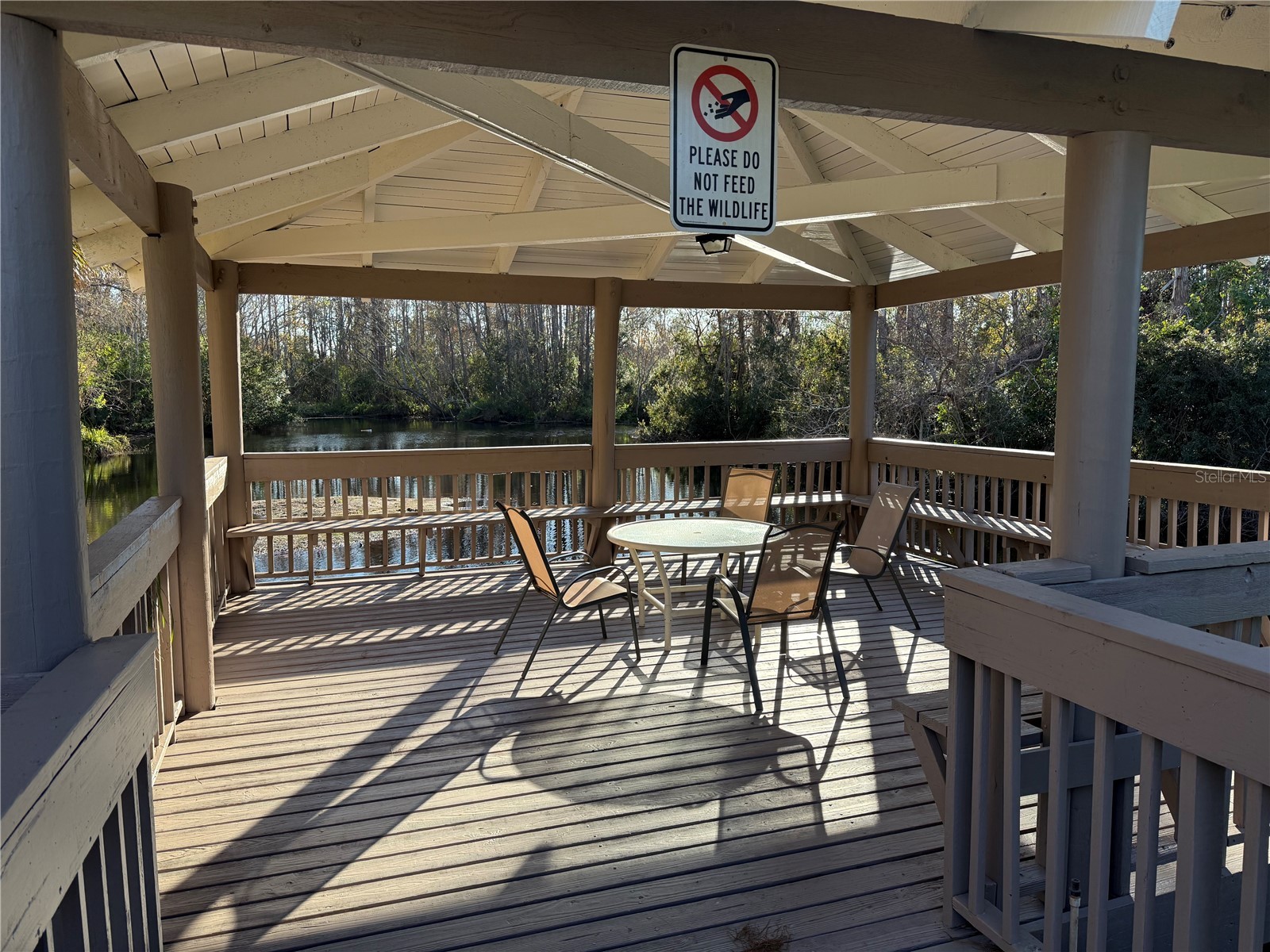 514 Longfellow Court #C Safety Harbor FL 34695 TB8532386 image35