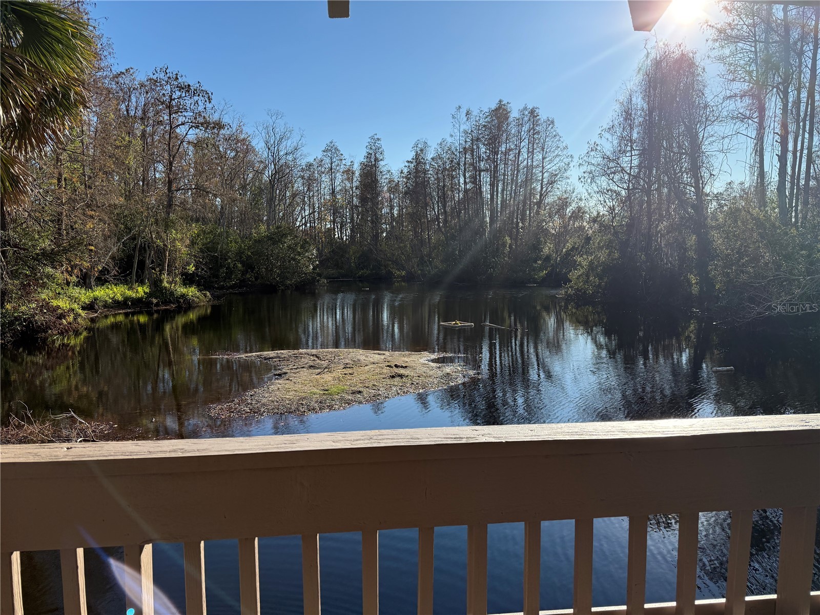514 Longfellow Court #C Safety Harbor FL 34695 TB8532386 image36