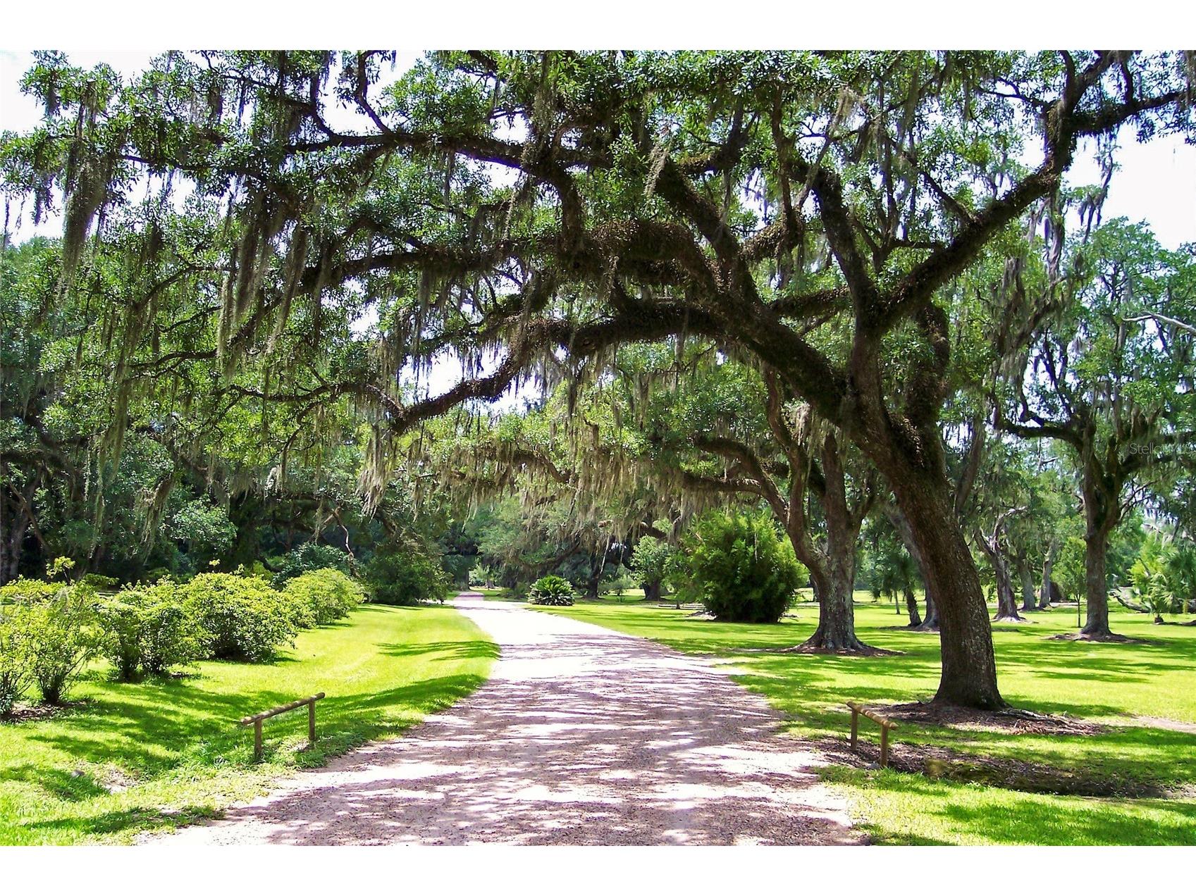 514 N Pollard Street Oakland FL 34787 O6332783 image22