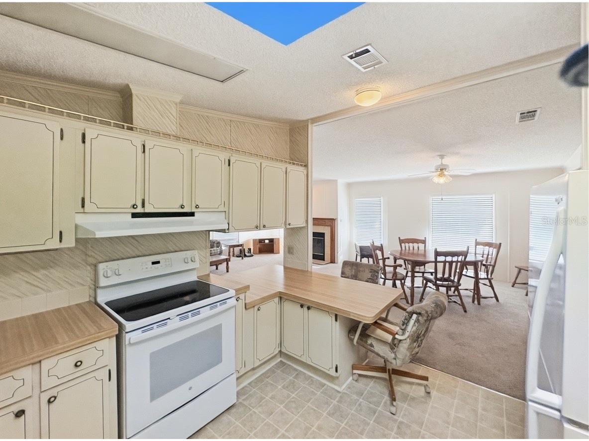 514 S Timber Trail Wildwood FL 34785 G5110532 image10