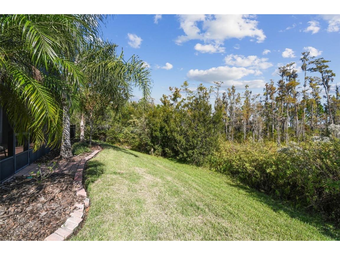 514 San Joaquin Road Poinciana FL 34759 S5138276 image53