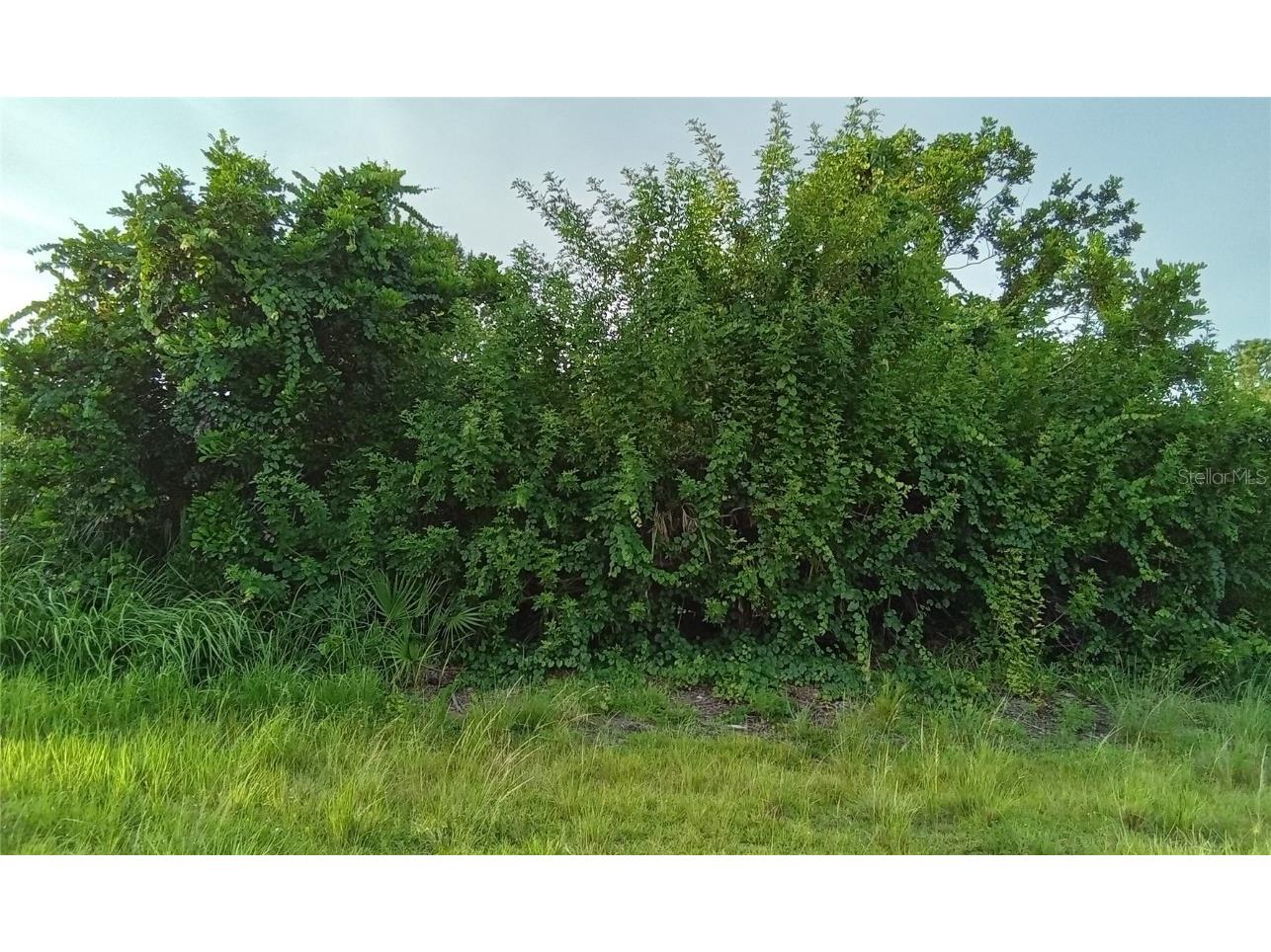 514 Santiguay Street Punta Gorda FL 33983 A4580160 image1