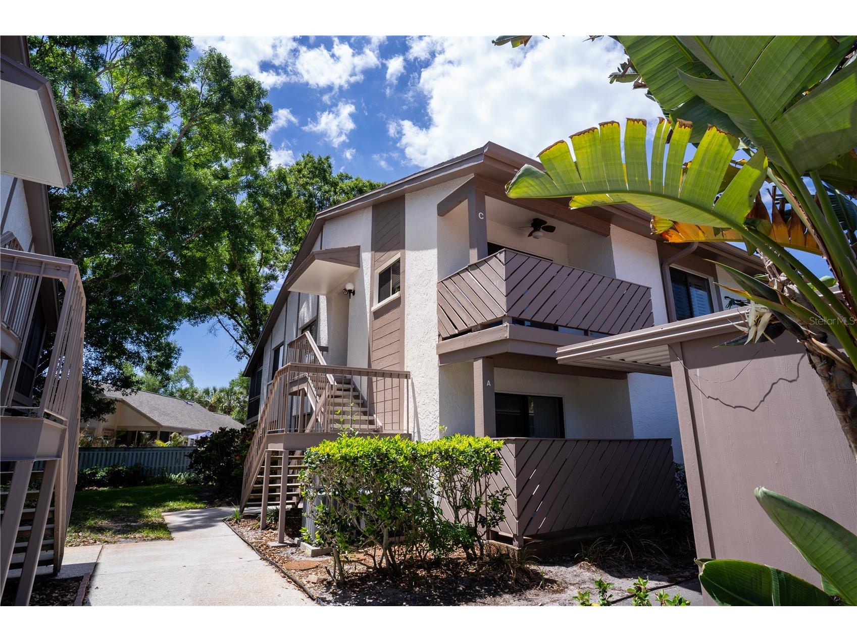 514 Tabor Court #C Safety Harbor FL 34695 TB8501825 image1