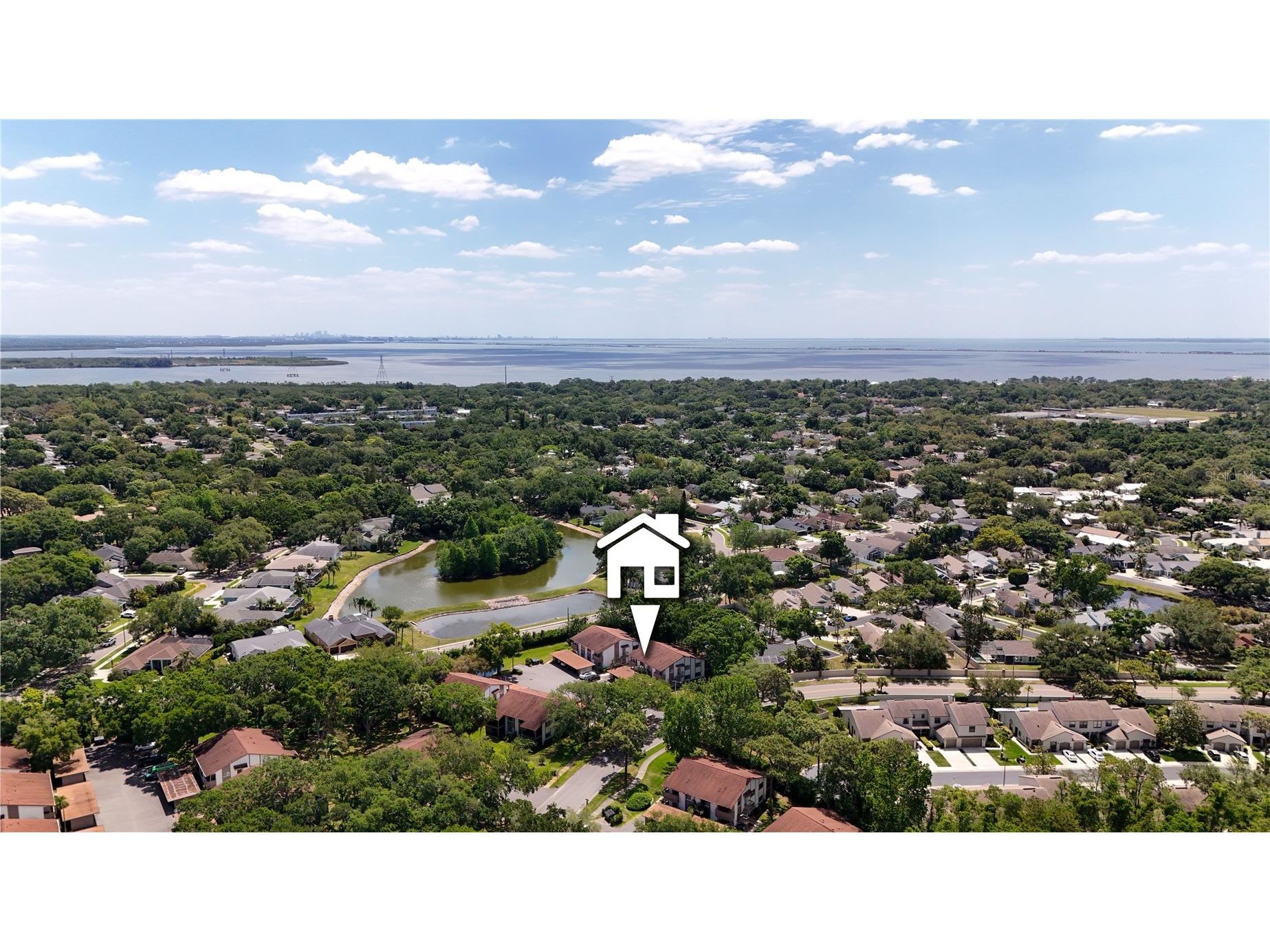 514 Tabor Court #C Safety Harbor FL 34695 TB8501825 image28