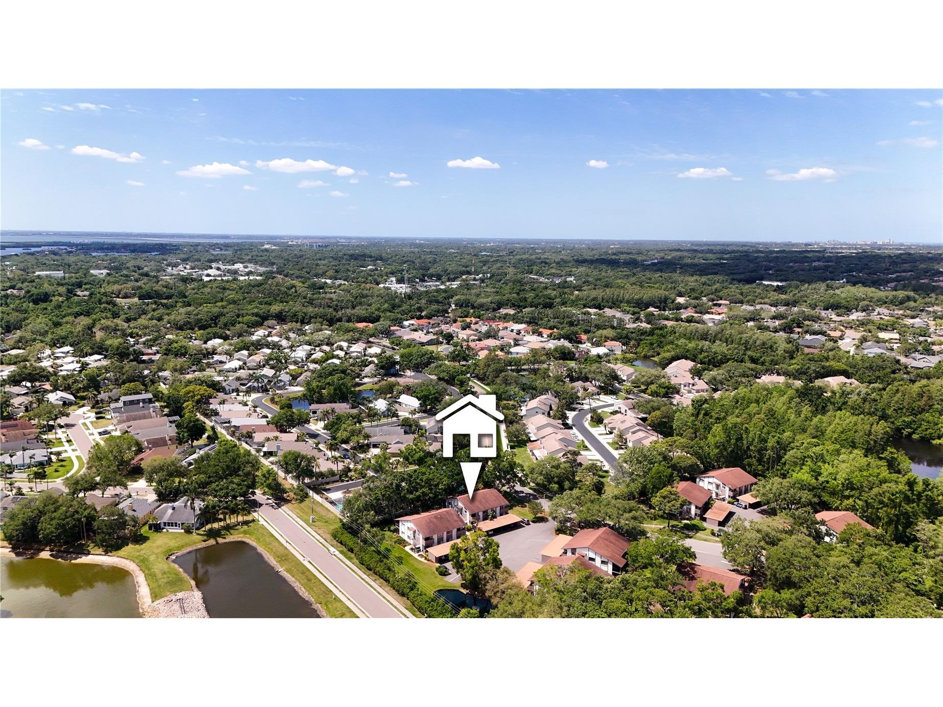 514 Tabor Court #C Safety Harbor FL 34695 TB8501825 image29