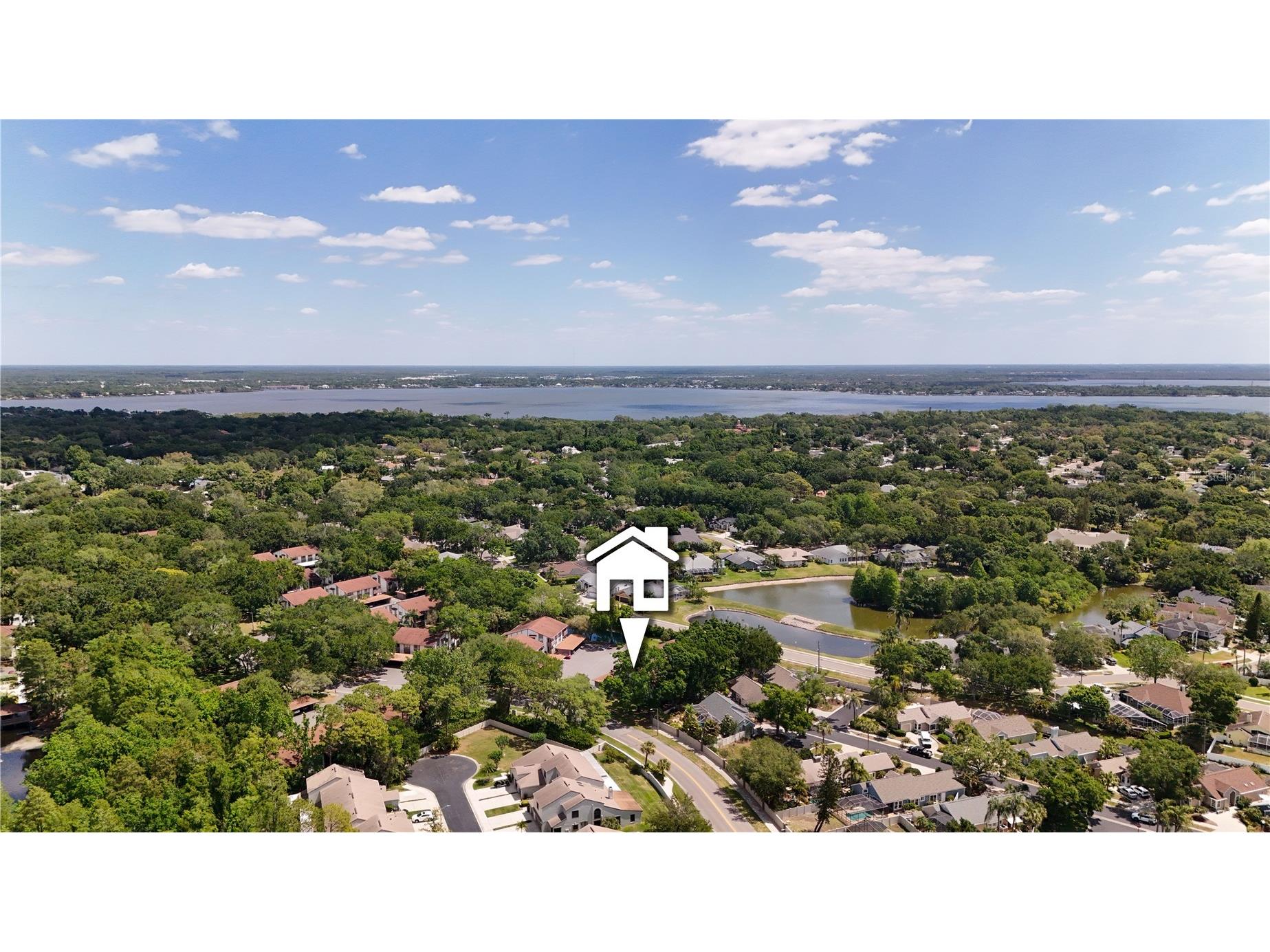 514 Tabor Court #C Safety Harbor FL 34695 TB8501825 image31