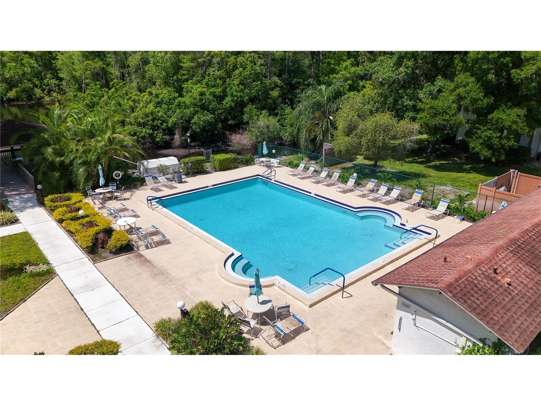 514 Tabor Court #C Safety Harbor FL 34695 TB8501825 image32