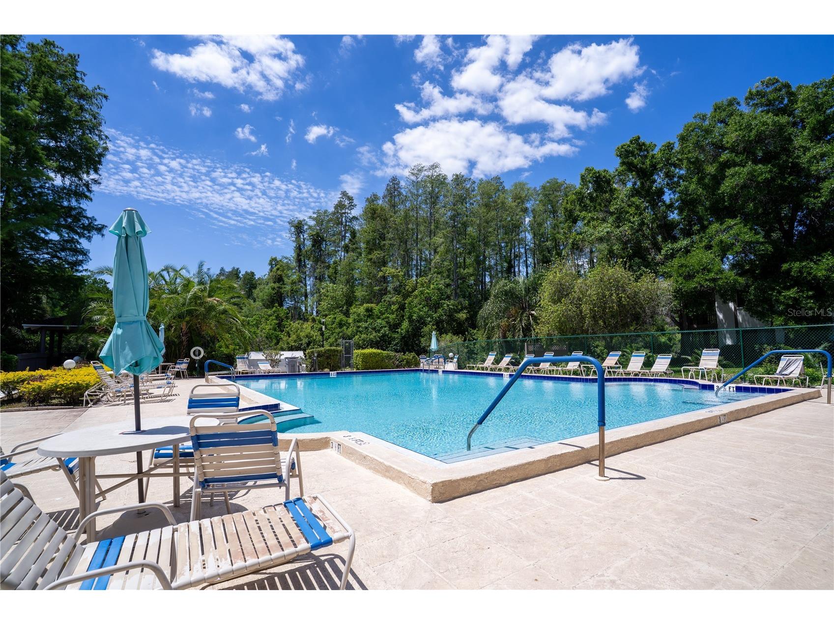 514 Tabor Court #C Safety Harbor FL 34695 TB8501825 image35