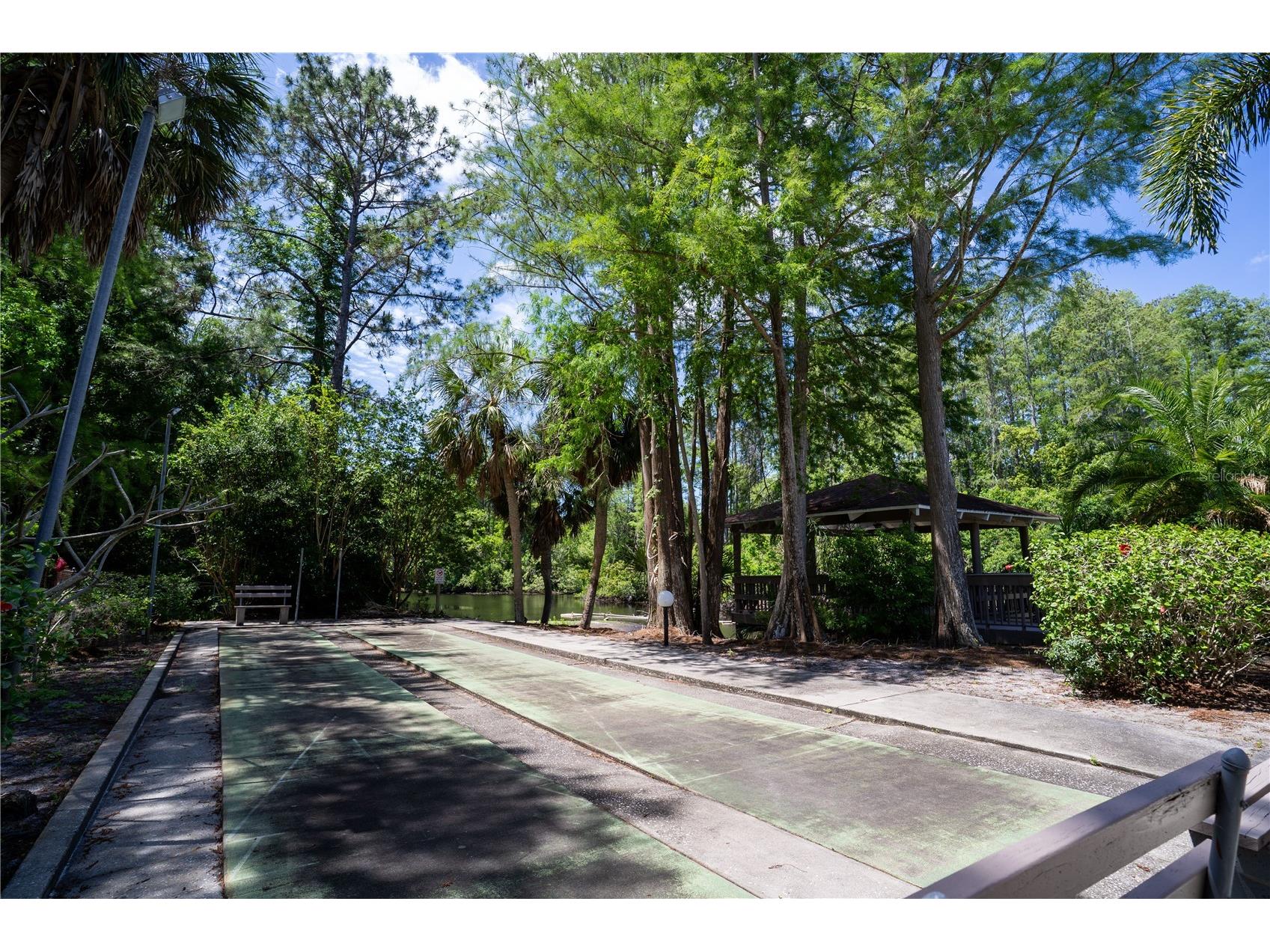 514 Tabor Court #C Safety Harbor FL 34695 TB8501825 image36