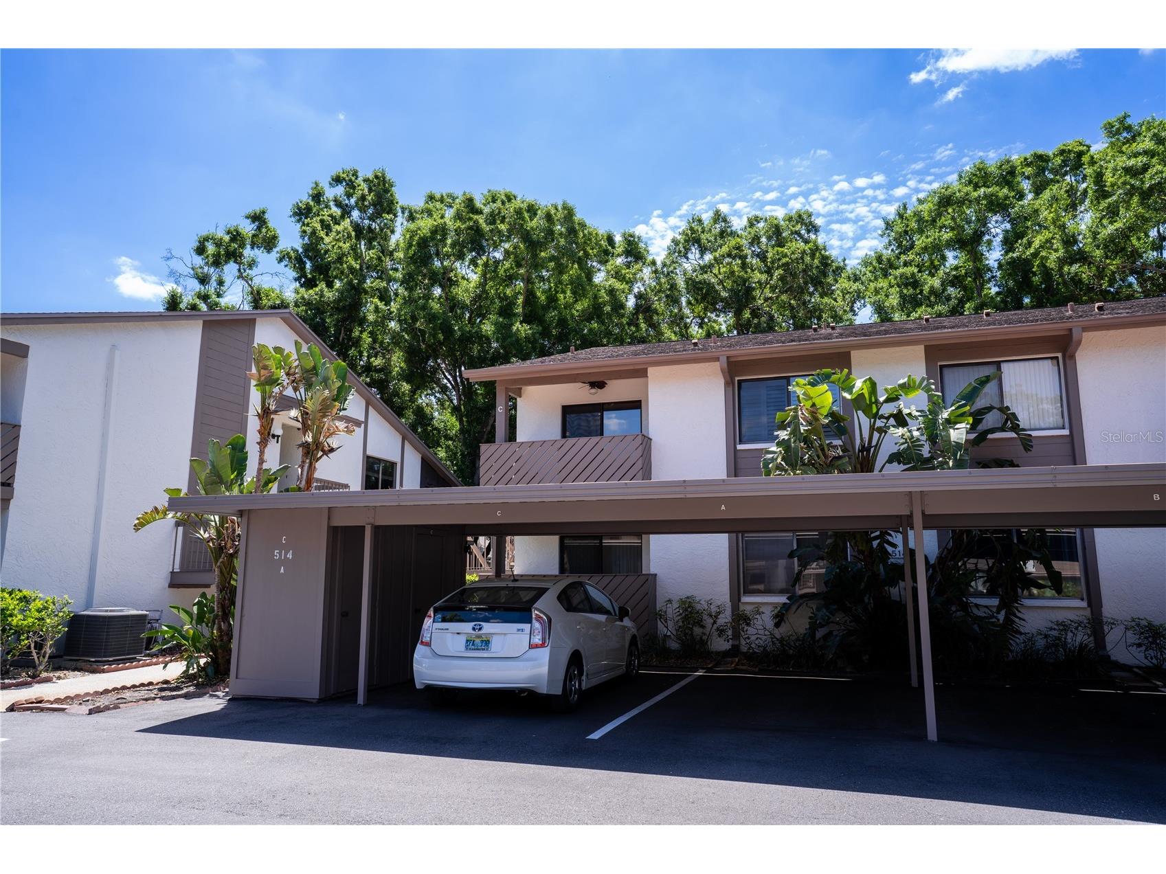 514 Tabor Court #C Safety Harbor FL 34695 TB8501825 image4