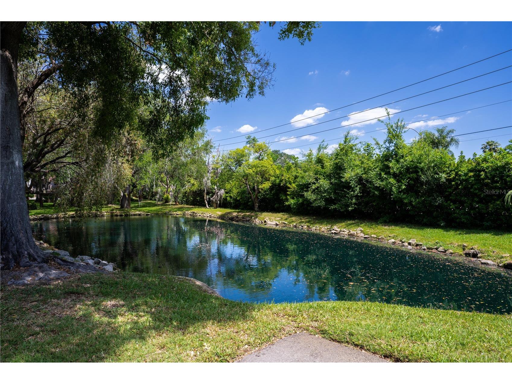 514 Tabor Court #C Safety Harbor FL 34695 TB8501825 image41