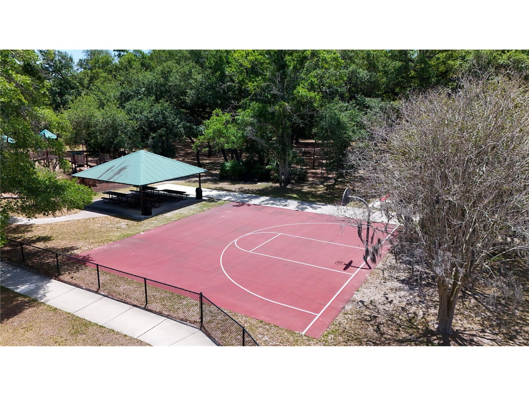 514 Tabor Court #C Safety Harbor FL 34695 TB8501825 image44