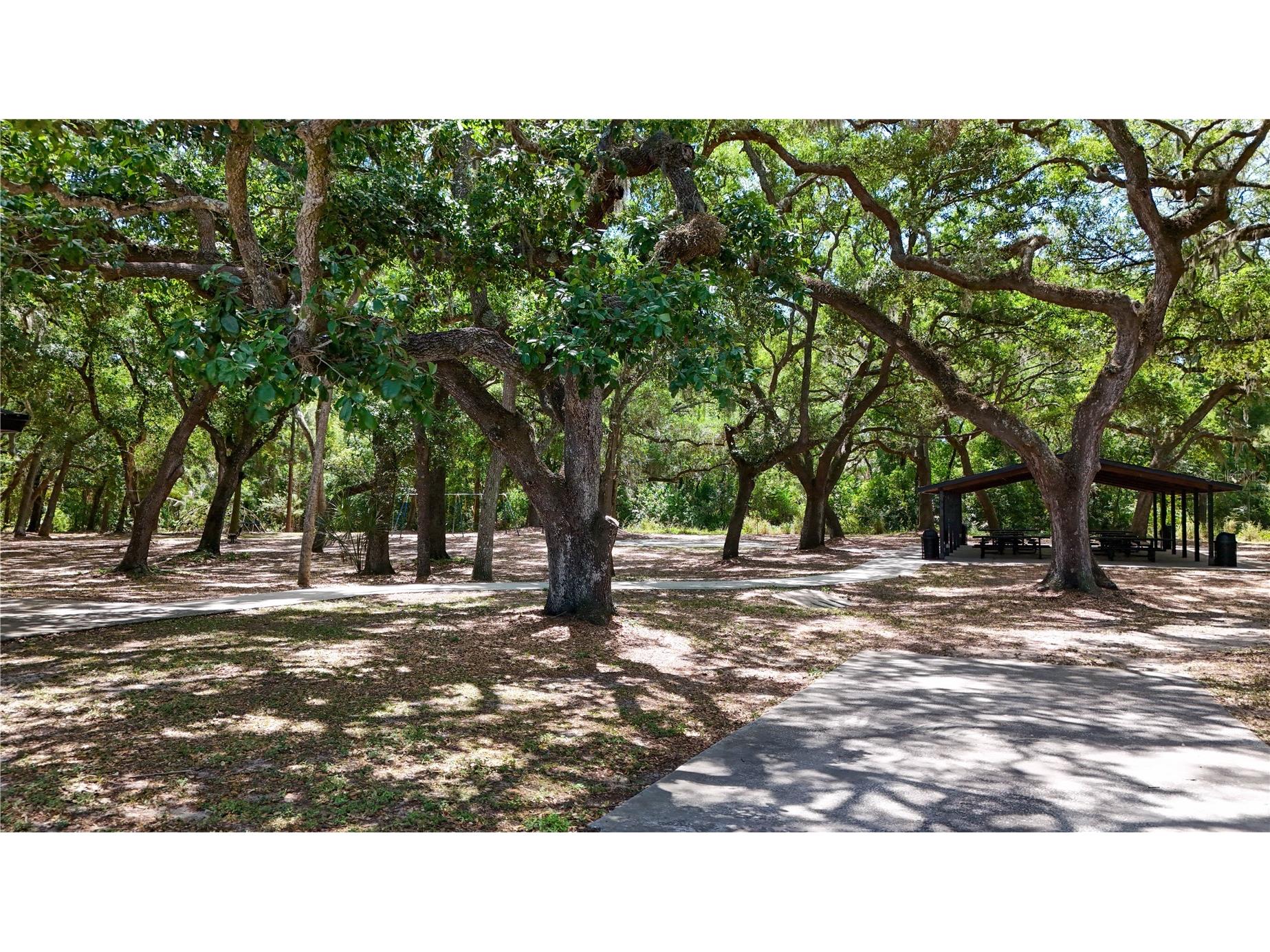 514 Tabor Court #C Safety Harbor FL 34695 TB8501825 image46