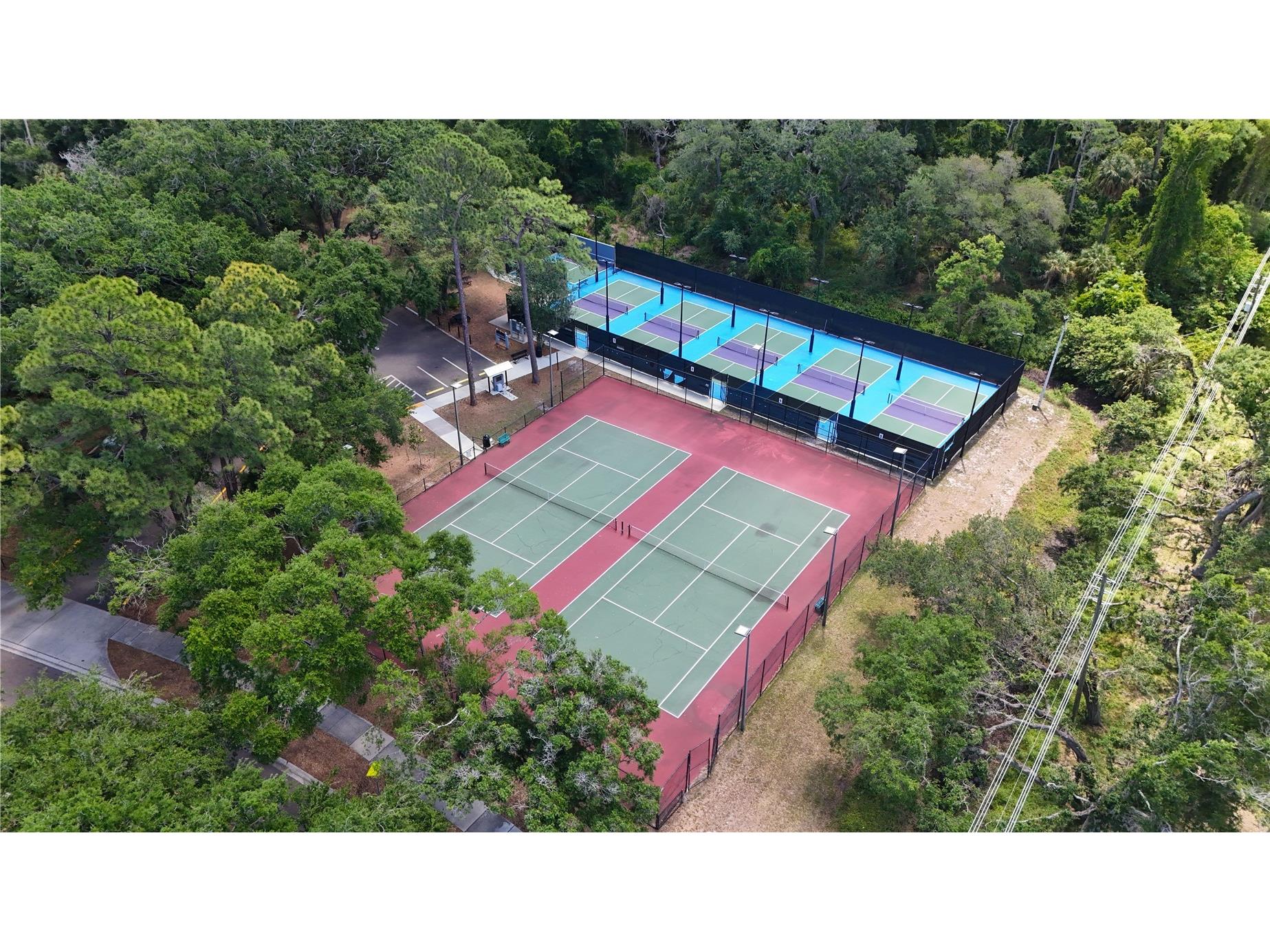 514 Tabor Court #C Safety Harbor FL 34695 TB8501825 image47