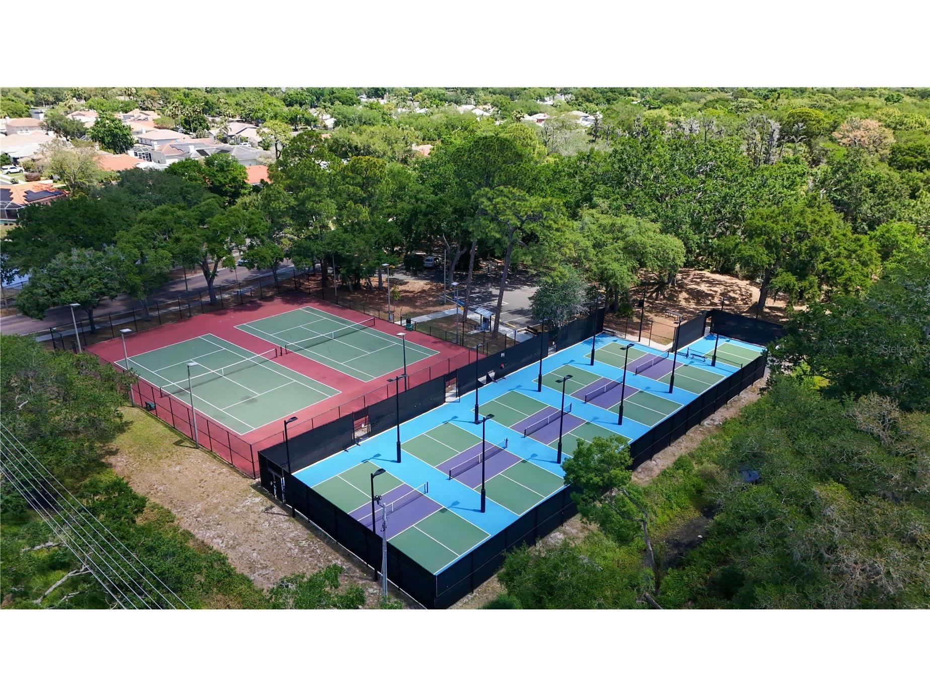 514 Tabor Court #C Safety Harbor FL 34695 TB8501825 image49