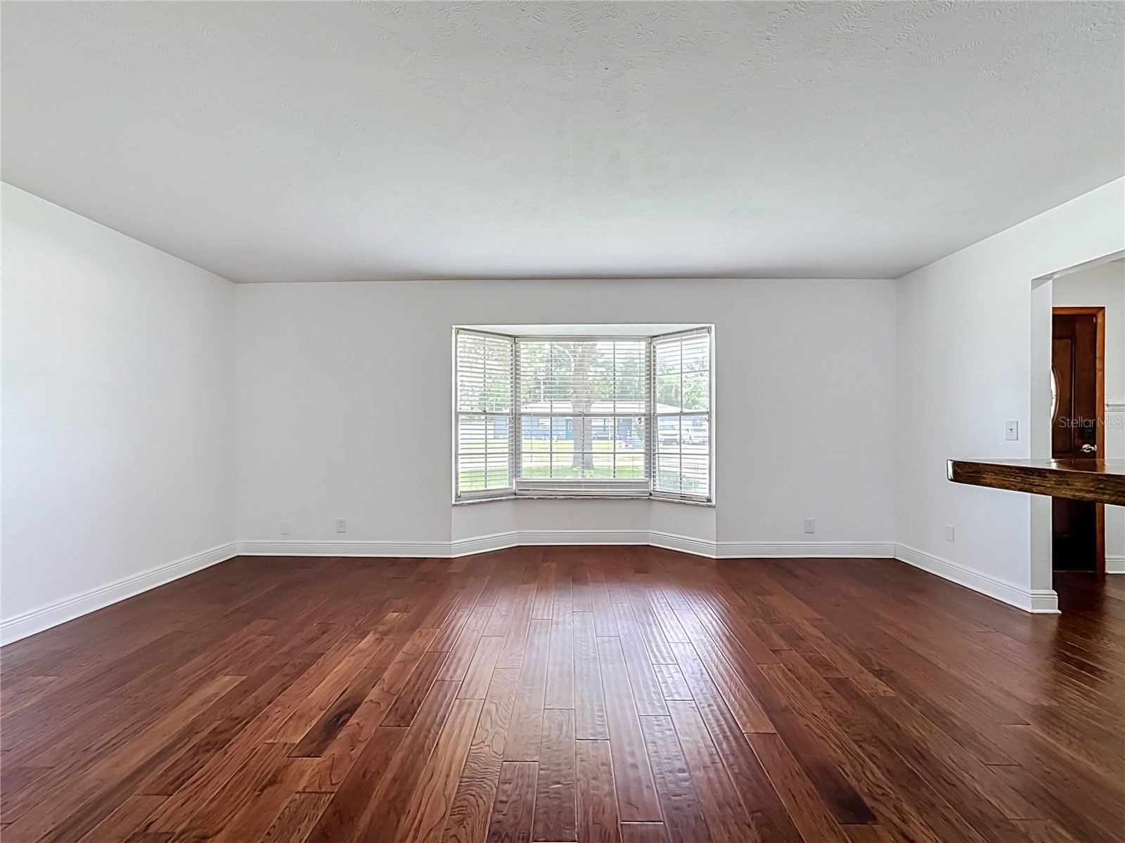 514 W Hilda Drive Brandon FL 33510 TB8531545 image10