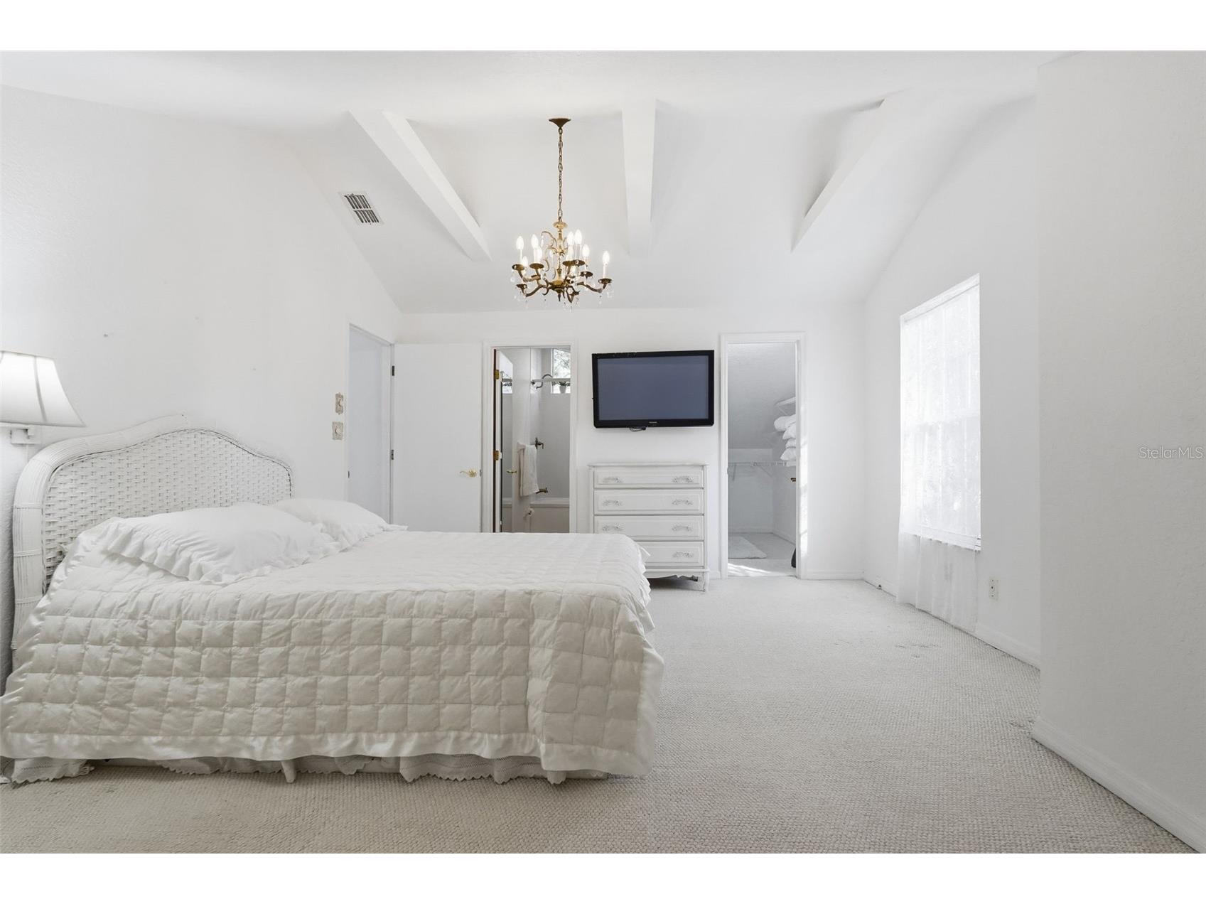 514 Wideview Avenue Tarpon Springs FL 34689 TB8473566 image64