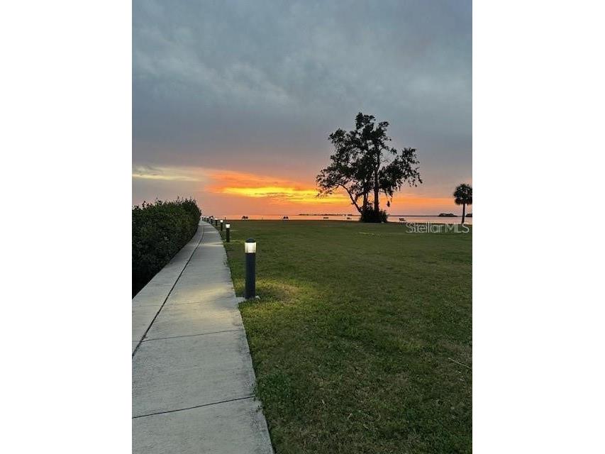 514 Windrush Bay Drive #514 Tarpon Springs FL 34689 TB8503636 image21