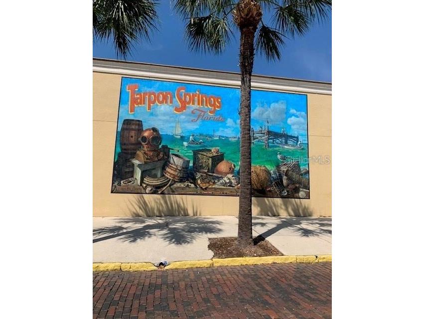 514 Windrush Bay Drive #514 Tarpon Springs FL 34689 TB8503636 image22