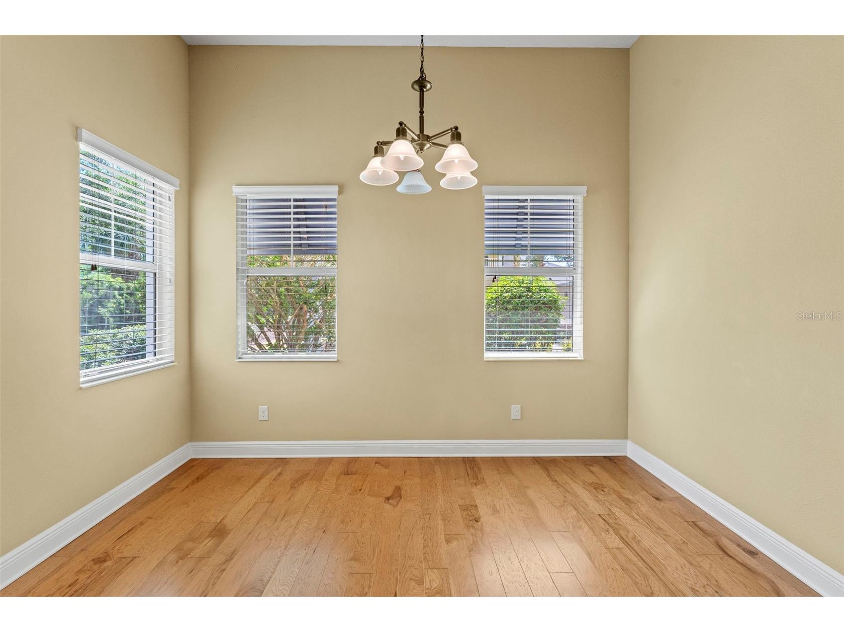 514 Winterside Drive Apollo Beach FL 33572 TB8506781 image16