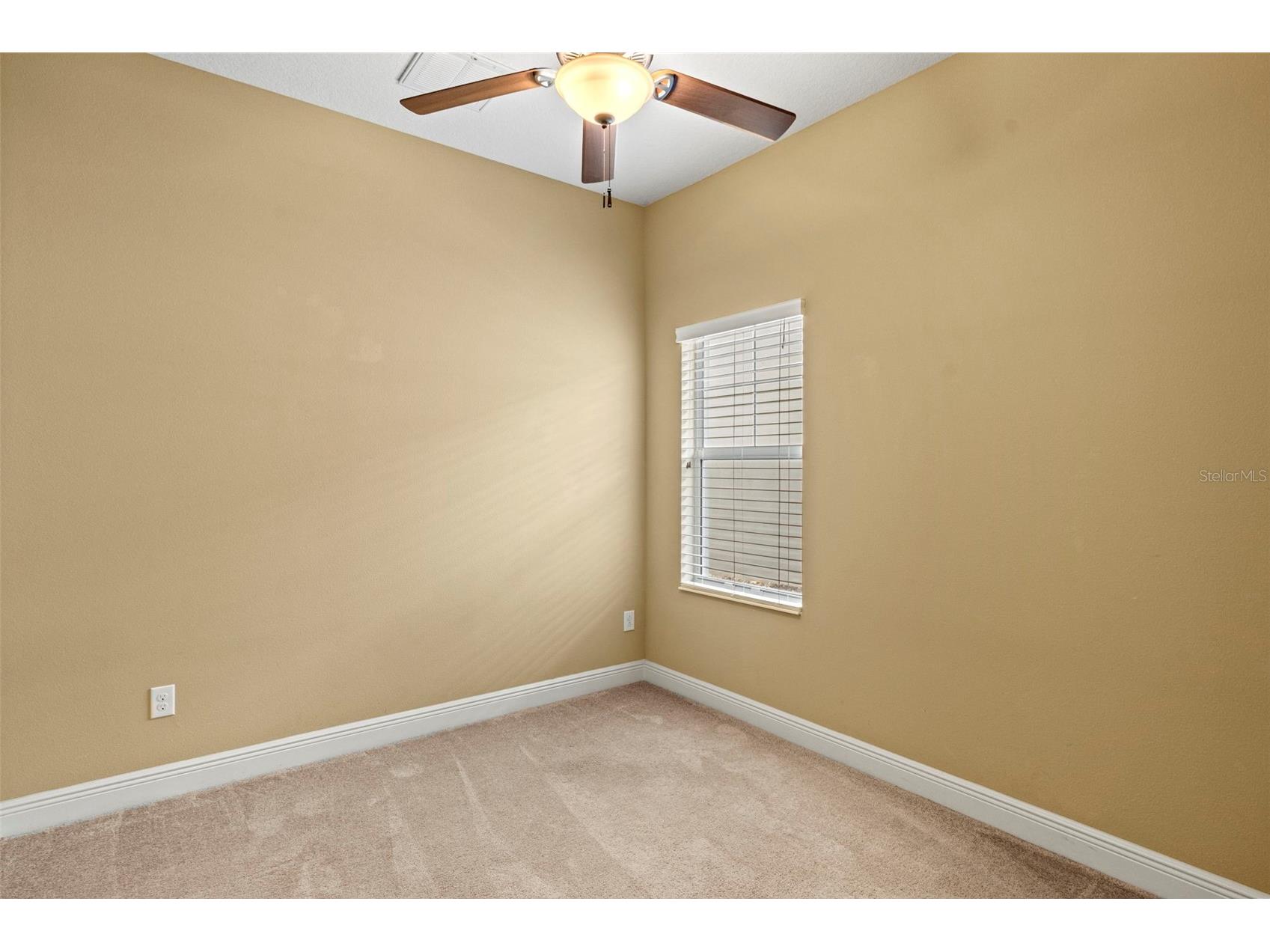 514 Winterside Drive Apollo Beach FL 33572 TB8506781 image23