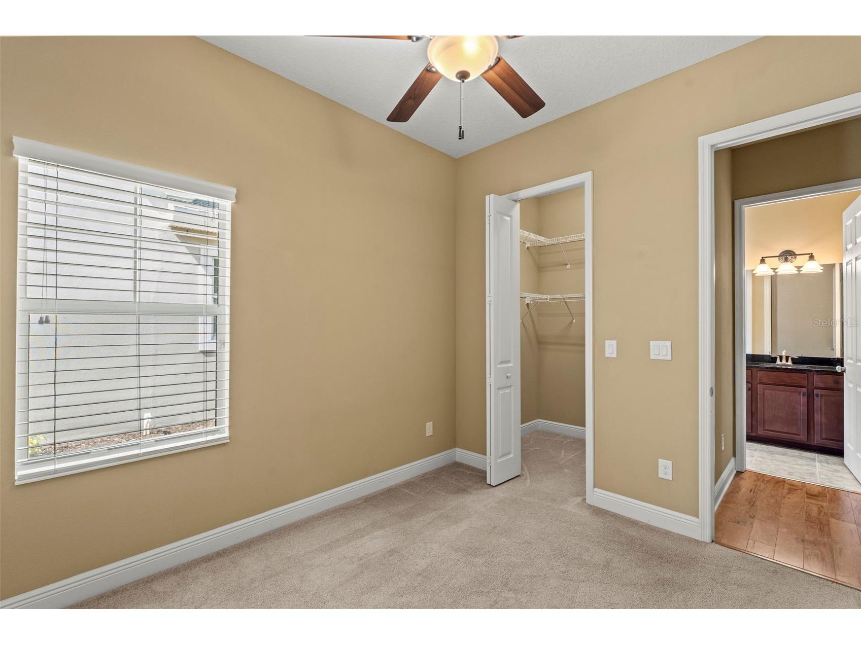514 Winterside Drive Apollo Beach FL 33572 TB8506781 image24