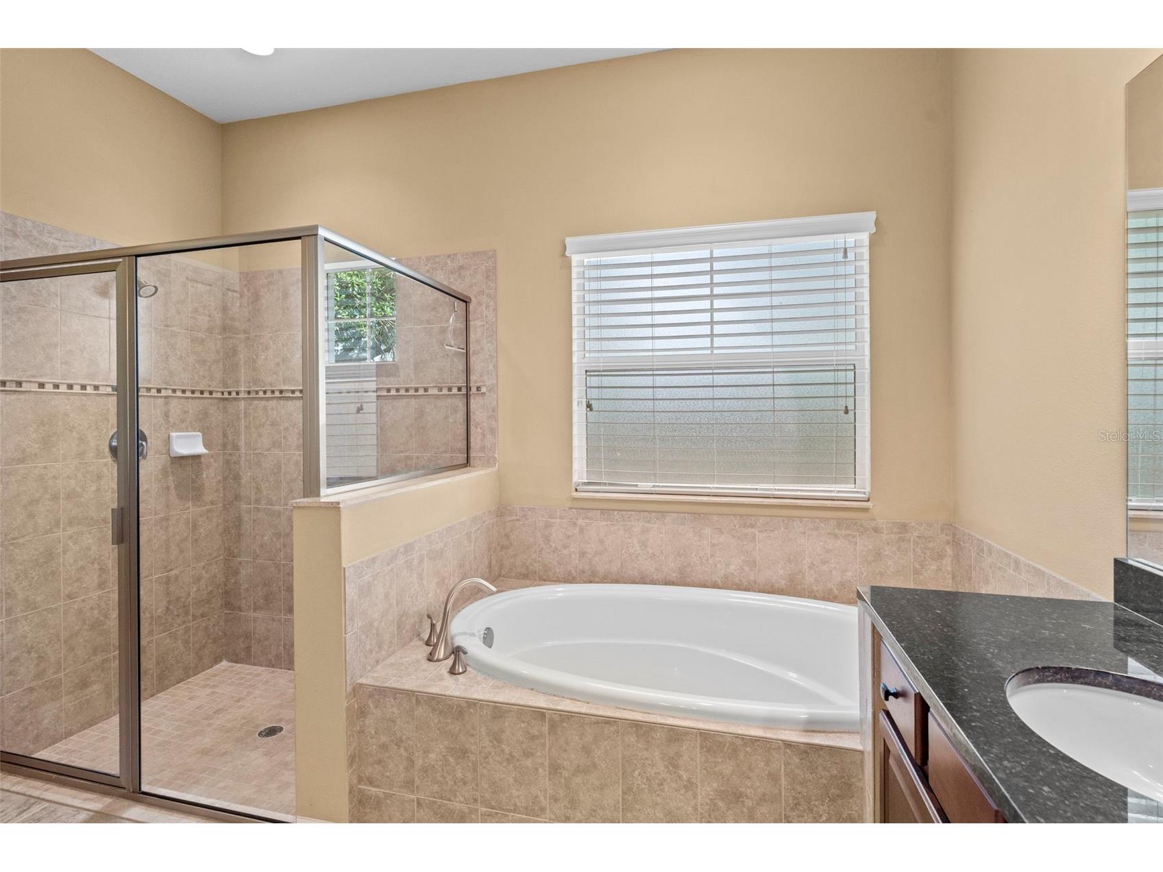 514 Winterside Drive Apollo Beach FL 33572 TB8506781 image37