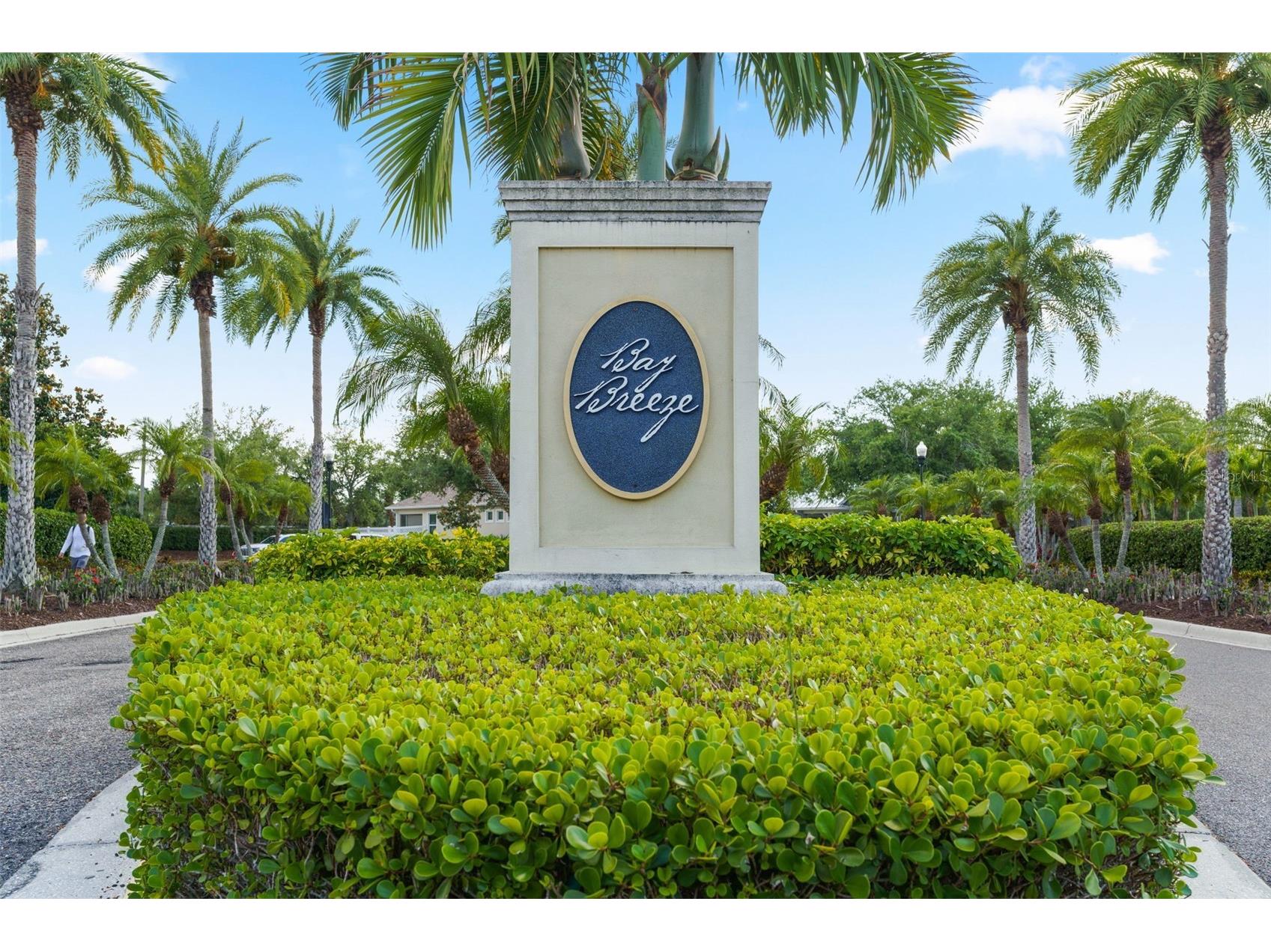 514 Winterside Drive Apollo Beach FL 33572 TB8506781 image55