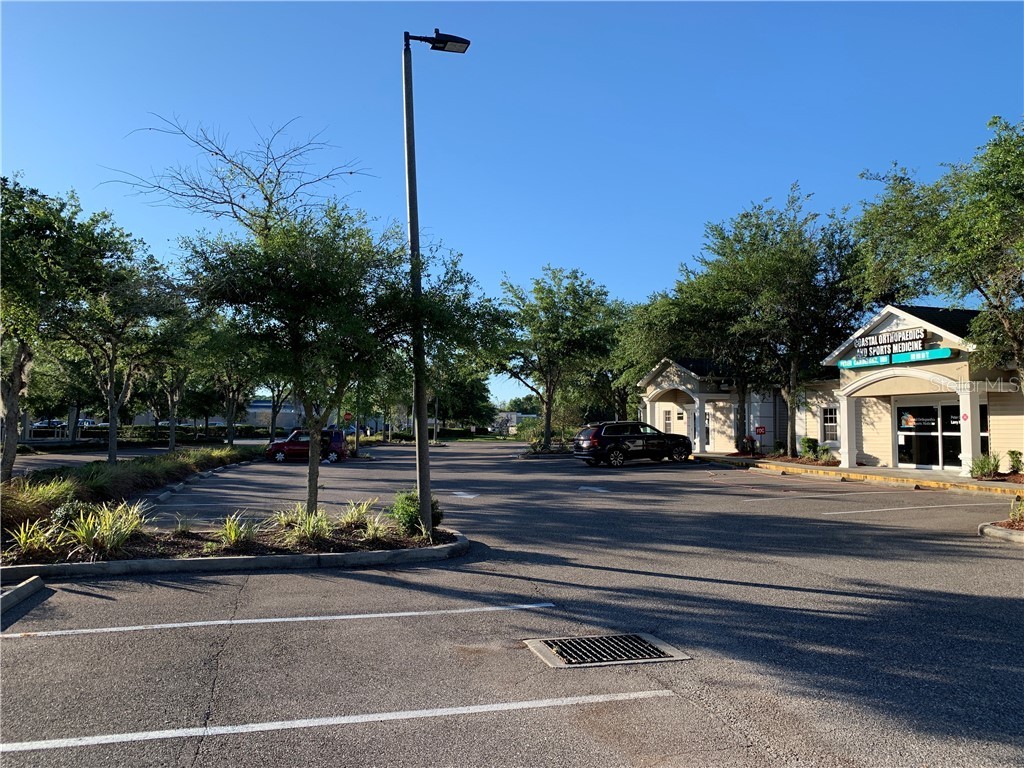 5140 Deer Park Drive New Port Richey FL 34653 T3138787 image18