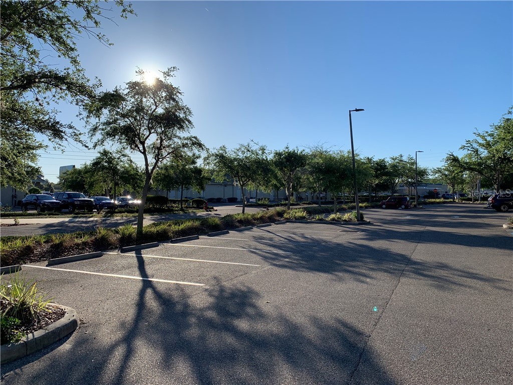 5140 Deer Park Drive New Port Richey FL 34653 T3138787 image21