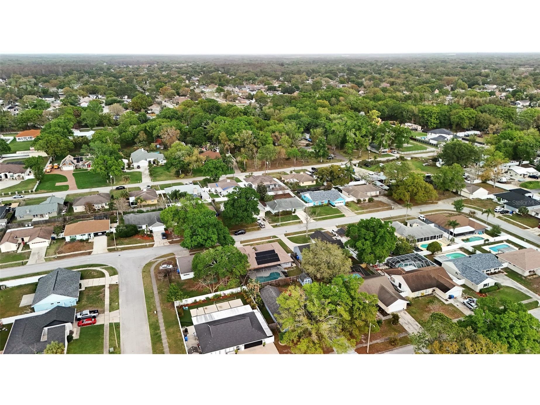 5140 Nashville Drive Tampa FL 33624 TB8487222 image40
