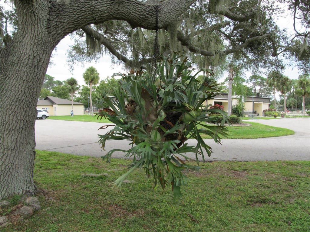 5140 Palena Boulevard North Port FL 34287 A4585092 image17