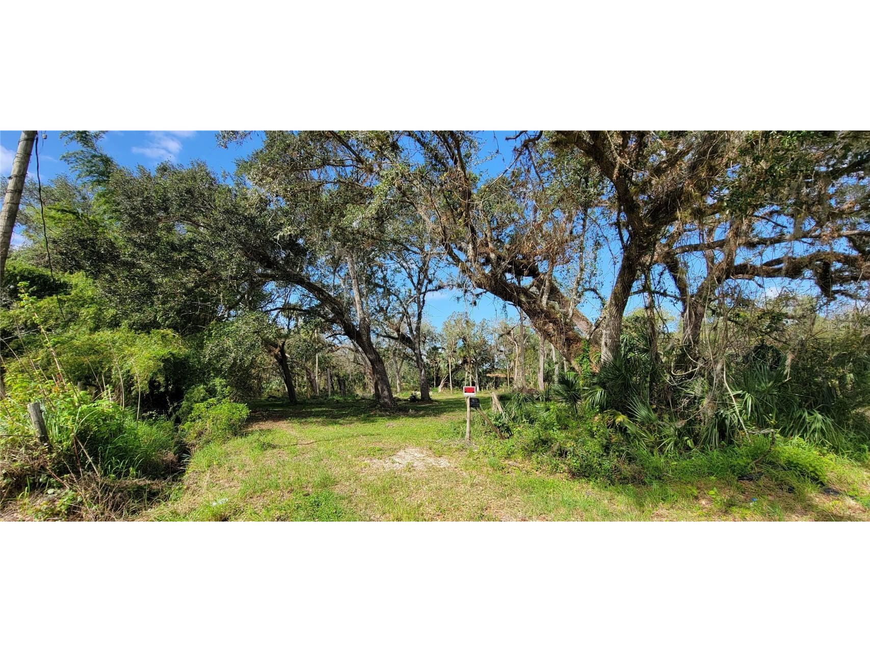 5142 Deer Run Drive Zolfo Springs FL 33890 L4934161 image1