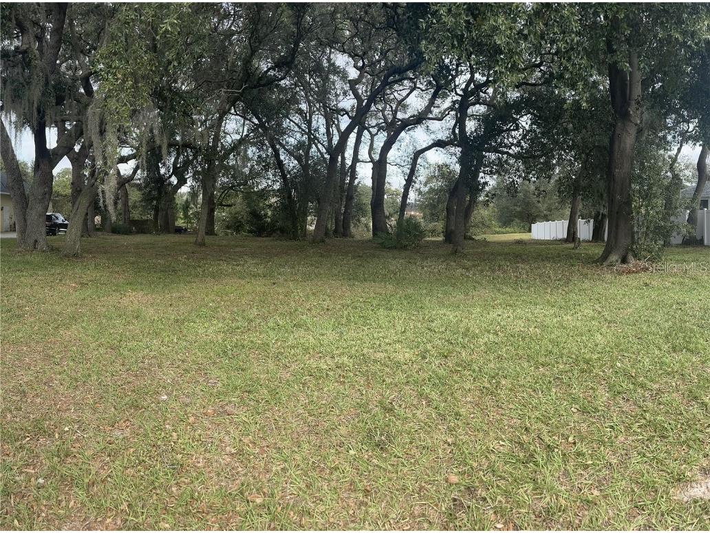 5142 Lake Deeson Woods Court Lakeland FL 33805 L4954403 image1