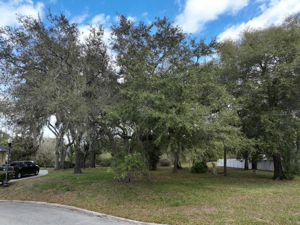 5142 Lake Deeson Woods Court Lakeland FL 33805 L4954403 image8