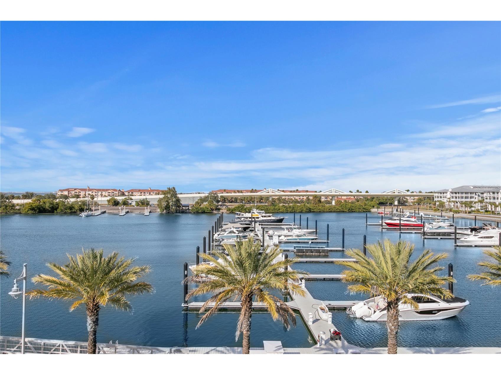 5142 Marina Way Tampa FL 33611 - OLD TAMPA BAY TB8488082 image25
