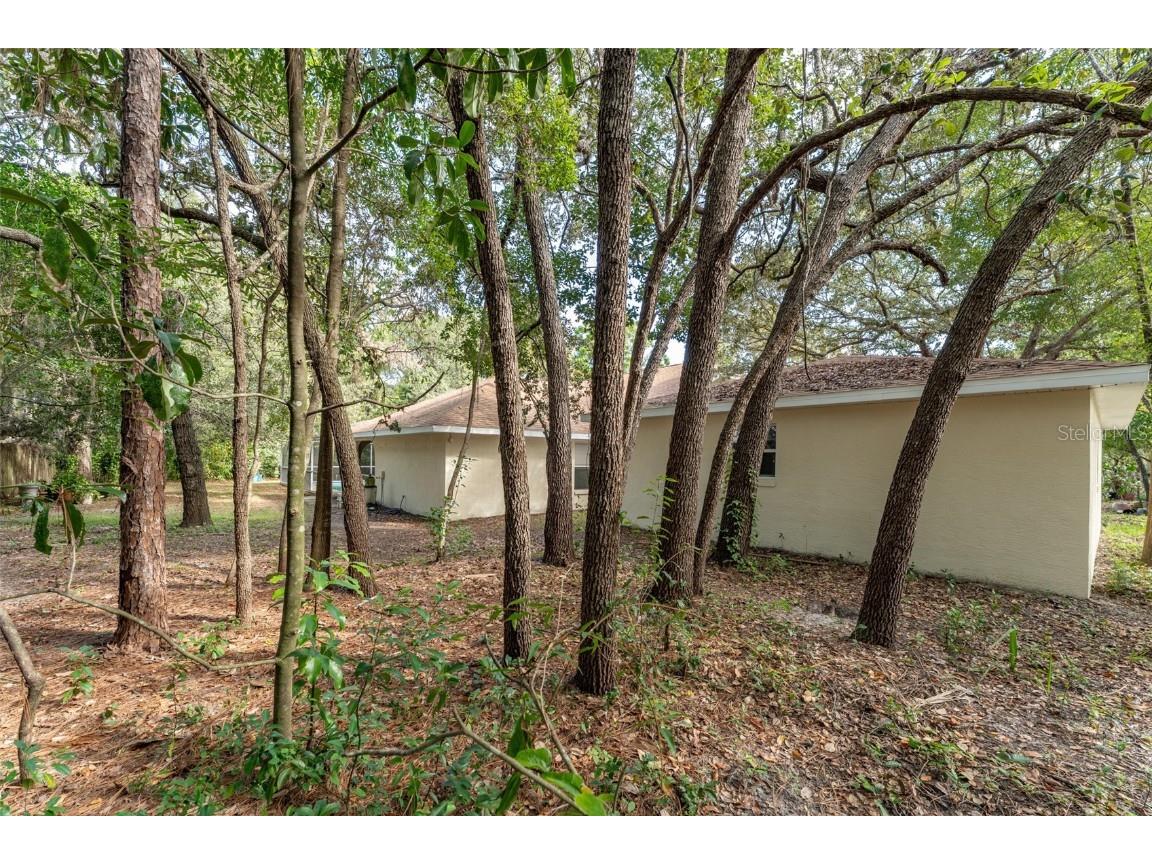 5142 S Louise Point Homosassa FL 34446 TB8442429 image12