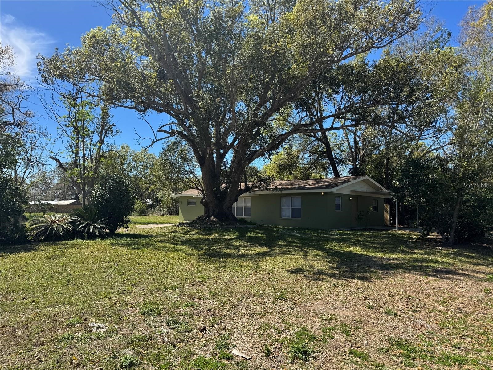 5143 1st Street Zephyrhills FL 33542 TB8506146 image29