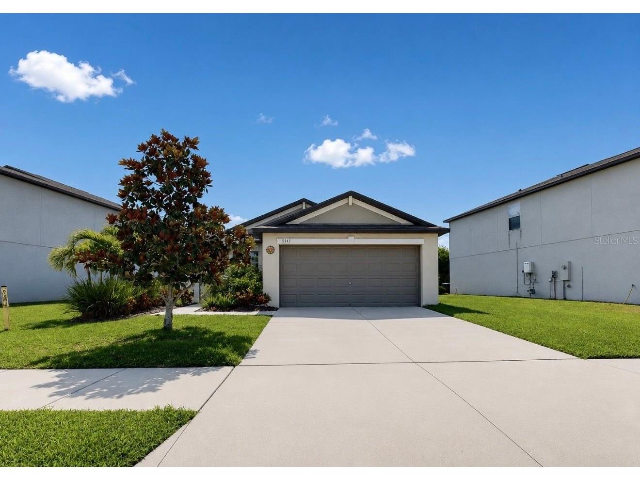 5143 White Chicory Drive Apollo Beach FL 33572 TB8520138 image1