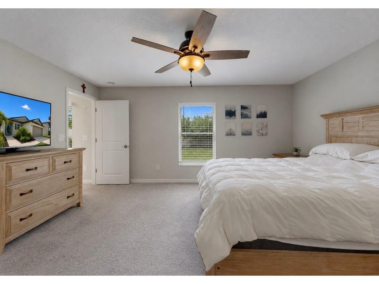 5143 White Chicory Drive Apollo Beach FL 33572 TB8520138 image18
