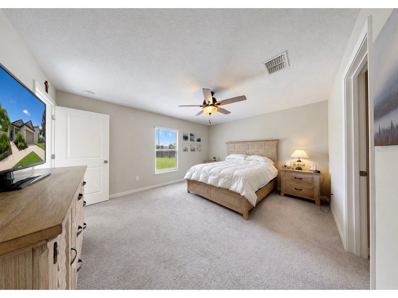 5143 White Chicory Drive Apollo Beach FL 33572 TB8520138 image19