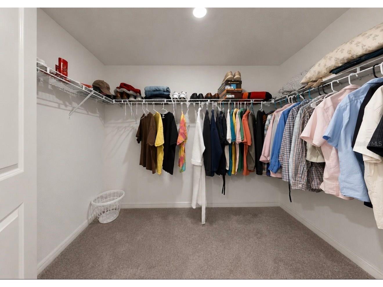 5143 White Chicory Drive Apollo Beach FL 33572 TB8520138 image23